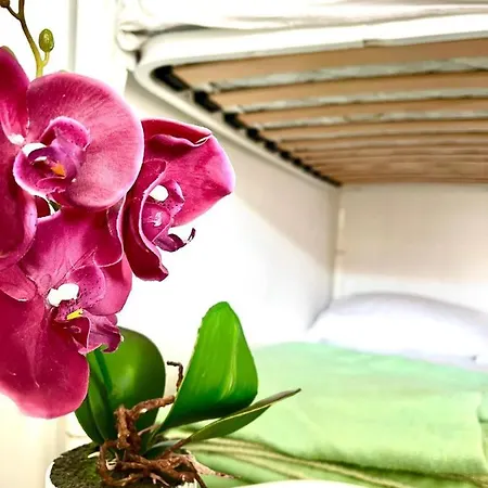 Village Garden Κάμπινγκ Ardea