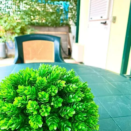 Campsite Village Garden